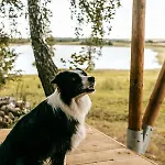 Lodge 