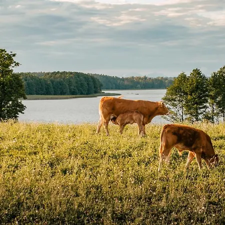Wioska Wakacyjna Glamila * Sterławki Wielkie