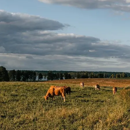 Wioska Wakacyjna Glamila Sterławki Wielkie